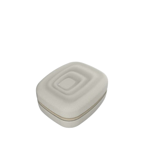 Artemis Sterilizer Case