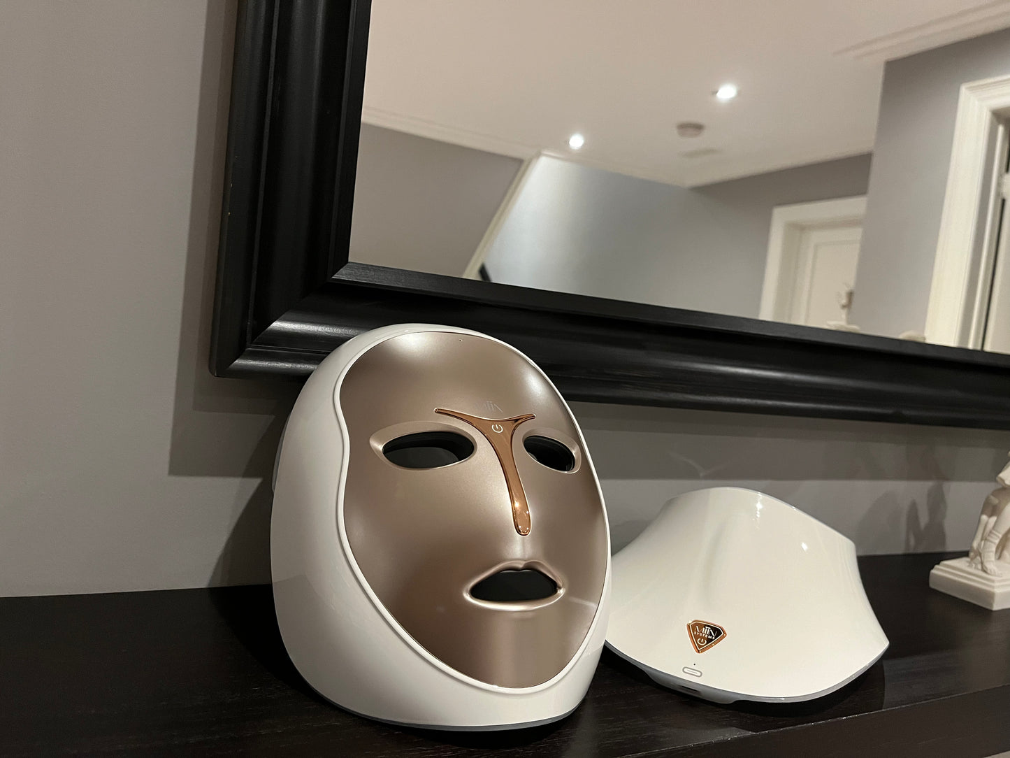 Artemis LED Mask & Neck System